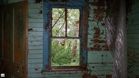 June 2015 - Tall-Red-on-8664.jpg