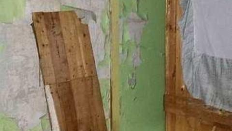 June 2015 - Tall-Red-on-86120.jpg