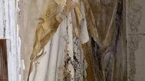 June 2015 - Tall-Red-on-86121.jpg