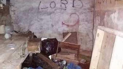 June 2015 - Tall-Red-on-8616.jpg