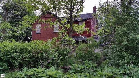 June 2015 - Tall-Red-on-8661.jpg