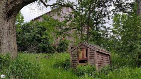 June 2015 - Tall-Red-on-8620.jpg