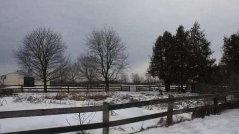 Harriet Cock's House - Granny-Cocks-House60.jpg