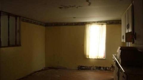 Harriet Cock's House - Granny-Cocks-House62.jpg