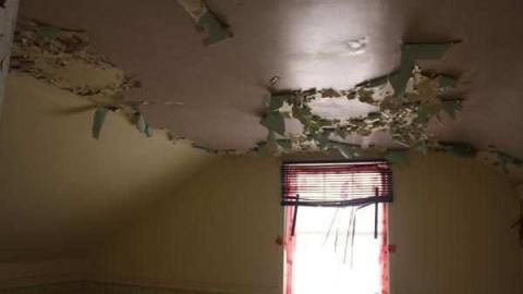 Harriet Cock's House - Granny-Cocks-House66.jpg