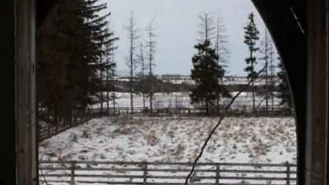 Harriet Cock's House - Granny-Cocks-House17.jpg