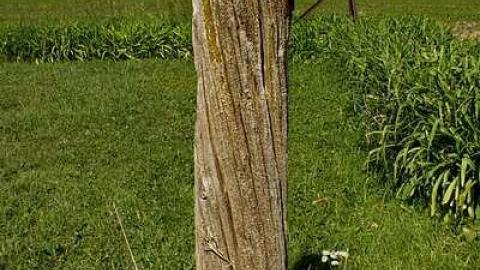 Quiet Neighbours - Old-Evangelical-United-Brethren8.jpg