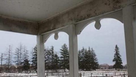 Harriet Cock's House - Granny-Cocks-House71.jpg