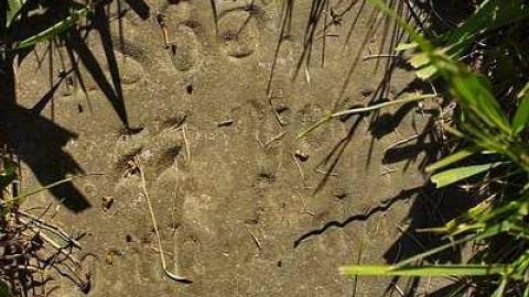 Quiet Neighbours - Old-Evangelical-United-Brethren1.jpg