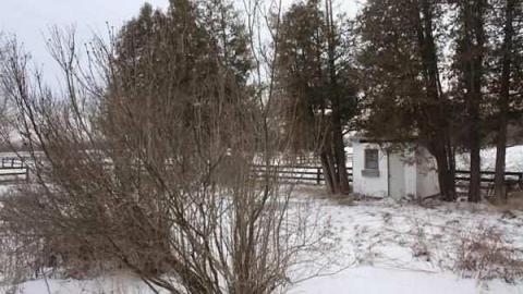 Harriet Cock's House - Granny-Cocks-House72.jpg