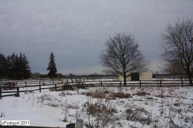 Granny Cock's House photo 3