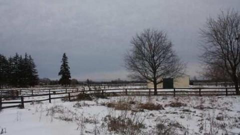 Harriet Cock's House - Granny-Cocks-House73.jpg