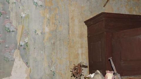 Guiding Star - 20150606201245.jpg