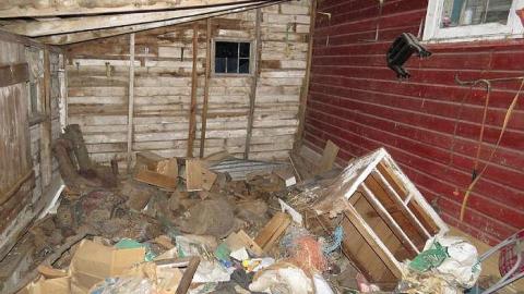 Guiding Star - 20150606201433.jpg