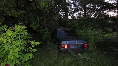 Guiding Star - 20150606200555.jpg