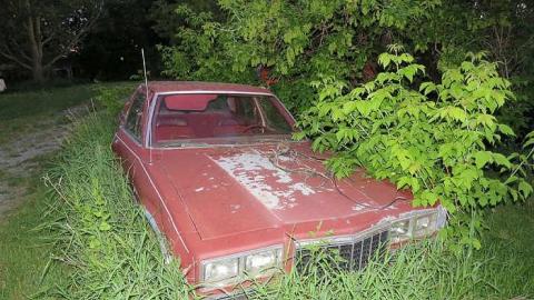 Guiding Star - 20150606200550.jpg