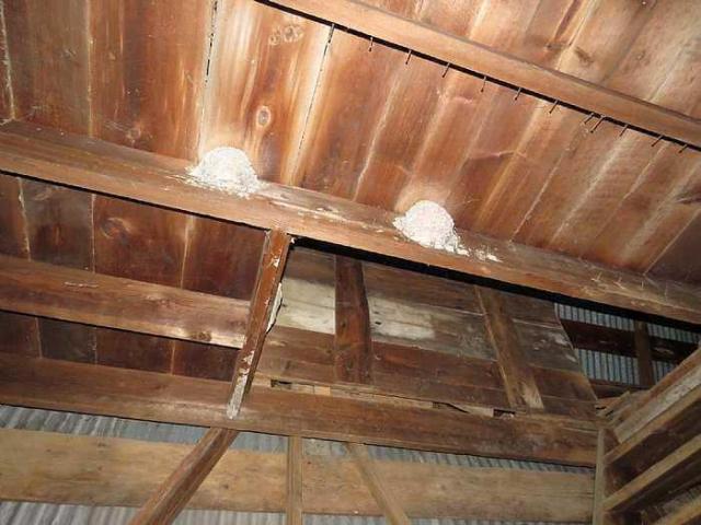 Leave A Light On photo 5