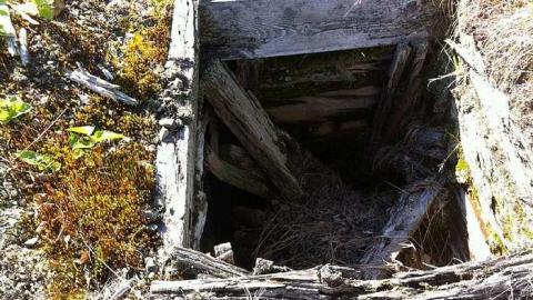 Shafts - Creighton6.jpg