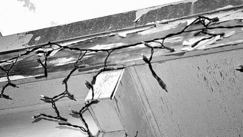 festive  - Children-at-Play21.jpg