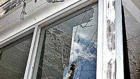 festive  - Children-at-Play11.jpg