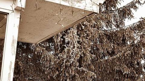 festive  - Children-at-Play22.jpg