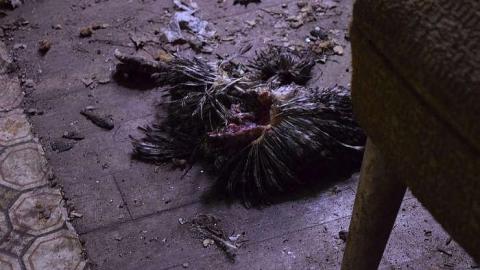 Beached - Anthes-Beach-Houses4.jpg