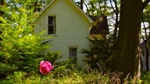 Beached - Anthes-Beach-Houses5.jpg
