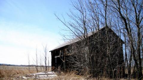 Old Haunt - IMG_9554.jpg