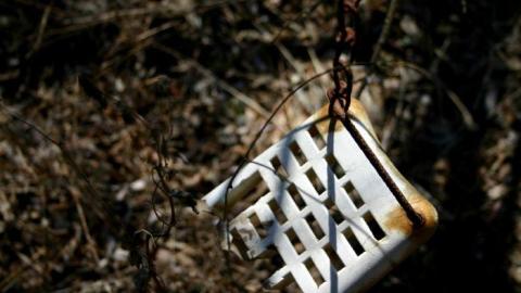 Old Haunt - IMG_9577.jpg