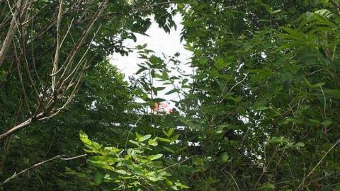 June 2015 - Battle-of-the-Windmill34.jpg