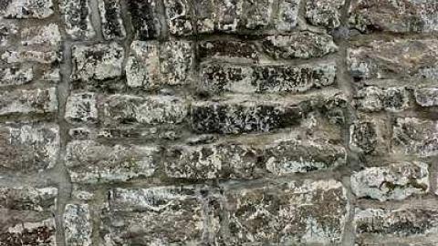 June 2015 - Battle-of-the-Windmill13.jpg