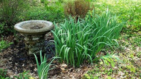 Fun At The Beach '15 - Anthes-Beach-Houses102.jpg