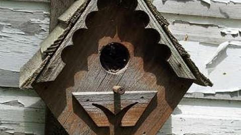 Fun At The Beach '15 - Anthes-Beach-Houses276.jpg