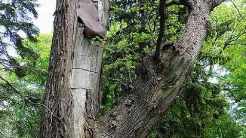 Fun At The Beach '15 - Anthes-Beach-Houses159.jpg