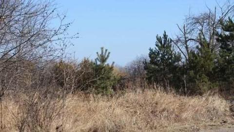 Bagotville - Bagotville-(ghost-town)22.jpg