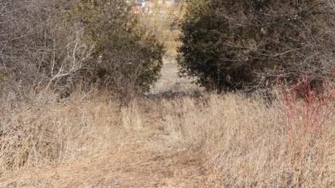 Bagotville - Bagotville-(ghost-town)26.jpg