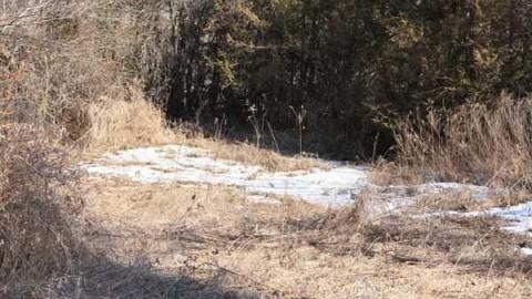 Bagotville (ghost town) photo 3