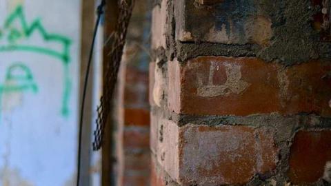 Photo from Shell of Glory