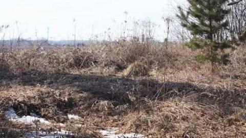 Bagotville - Bagotville-(ghost-town)28.jpg