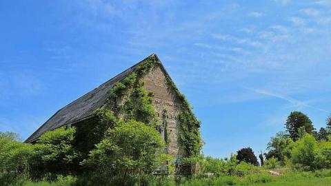 Shell of Glory - Alma-College--St.-Thomas179.jpg