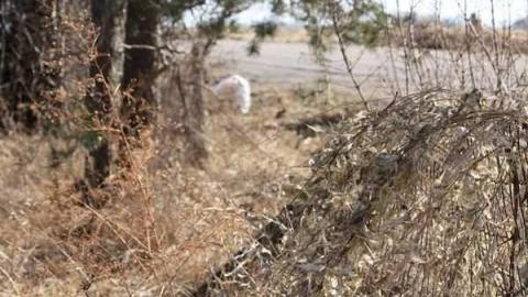 Bagotville (ghost town) photo 4