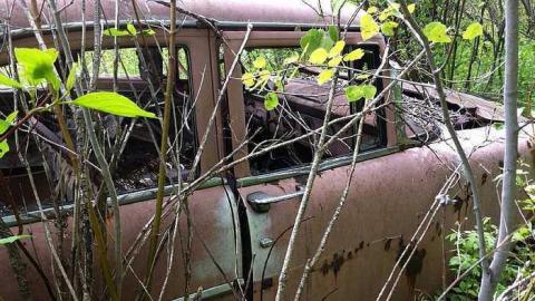 Rusty Yet Beautiful - Rusty-Yet-Beautiful14.jpg