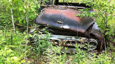 Rusty Yet Beautiful - Rusty-Yet-Beautiful15.jpg