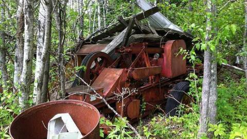 Rusty Yet Beautiful - Rusty-Yet-Beautiful16.jpg