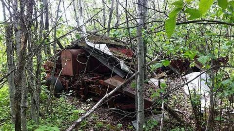 Rusty Yet Beautiful photo 2