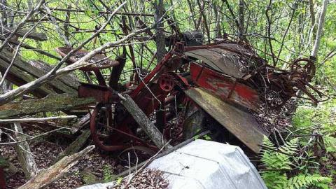 Rusty Yet Beautiful - Rusty-Yet-Beautiful10.jpg