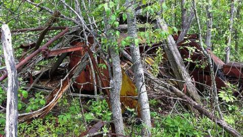 Rusty Yet Beautiful - Rusty-Yet-Beautiful6.jpg