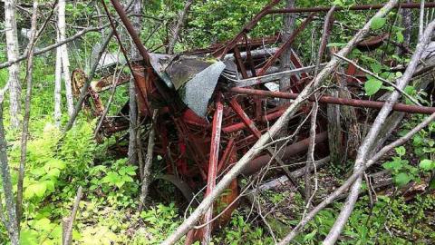 Rusty Yet Beautiful - Rusty-Yet-Beautiful1.jpg