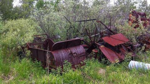 Rusty Yet Beautiful - Rusty-Yet-Beautiful7.jpg