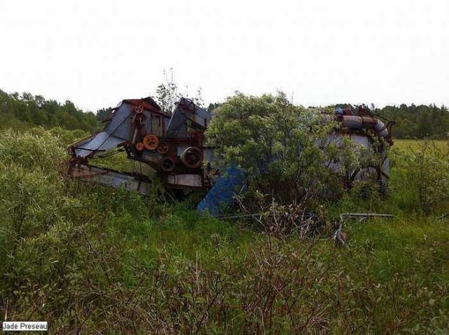 Rusty Yet Beautiful photo 3